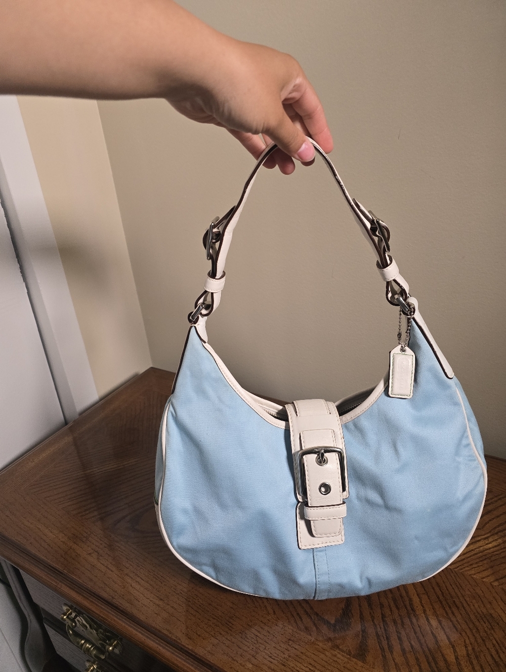 Vintage Baby Blue And White Coach Hampton